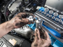 HAZET Steckschlüsselsatz 12,5mm 1/2 Zoll Außen-Sechskant-Tractionsprofil 25-teilig 900 -Heimwerkzeug Geschäft 900 23anwendung 23lifestyle 23haende 231