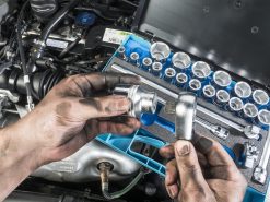 HAZET Steckschlüsselsatz 12,5mm 1/2 Zoll Außen-Sechskant-Tractionsprofil 25-teilig 900 -Heimwerkzeug Geschäft 900 23anwendung 23lifestyle 23haende 232