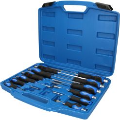Brilliant Tools Schraubendreher-Satz Mit Schlagkappe BT034012 -Heimwerkzeug Geschäft FOT PRO ALG BT034012 SALL AING V1