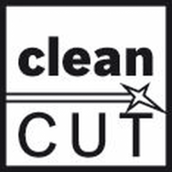 Bosch Stichsägeblatt T 234 X Progressor For Wood 100er-Pack 2608633A41 -Heimwerkzeug Geschäft IMG RD 105007 1658d44d2016e8c