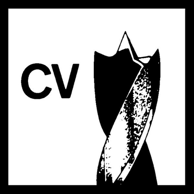 Bosch Holzspiralbohrer Standard 18 X 130 X 180 Mm D 10 Mm 2608597202 5 Bosch Holzspiralbohrer Standard 18 X 130 X 180 Mm D 10 Mm 2608597202 – Bild 3